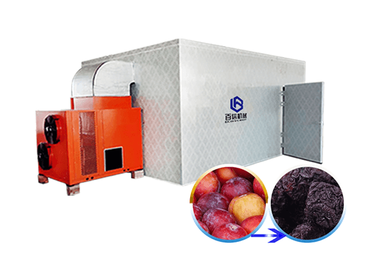 Plum dryer machine